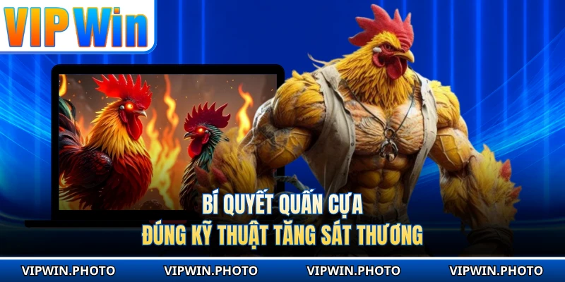 Bí quyết quấn cựa đúng kỹ thuật tăng sát thương