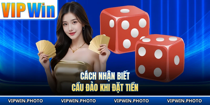 Cách nhận biết cầu đảo khi đặt tiền