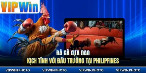 Đá Gà Cựa Dao Kịch Tính Với Đấu Trường Tại Philippines