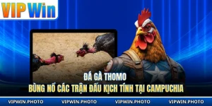 Đá Gà Thomo - Bùng Nổ Các Trận Đấu Kịch Tính Tại Campuchia