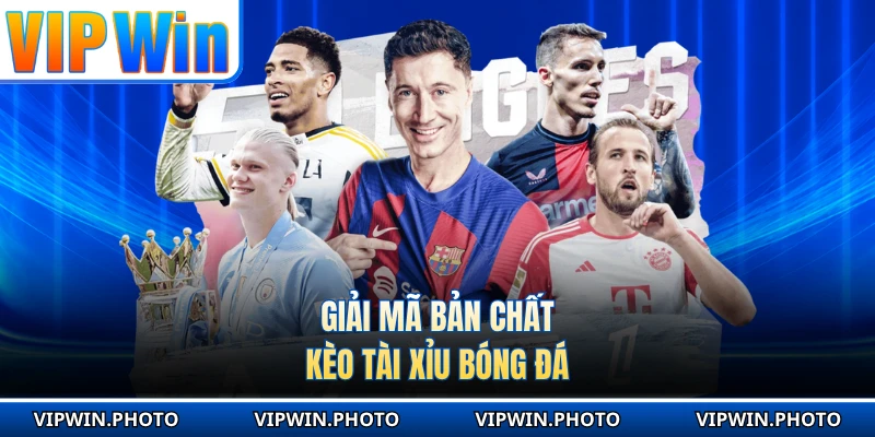 Giải mã bản chất kèo tài xỉu bóng đá 