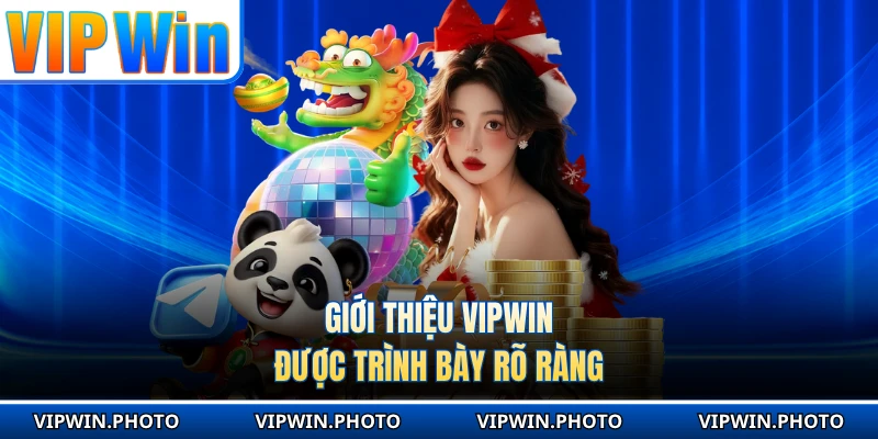 Giới thiệu VIPWIN được trình bày rõ ràng 