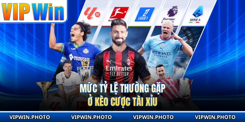 Mức tỷ lệ thường gặp ở kèo cược tài xỉu